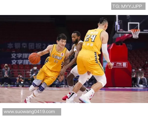 2013年广东队与北京队总决赛精彩回顾与经典瞬间分析