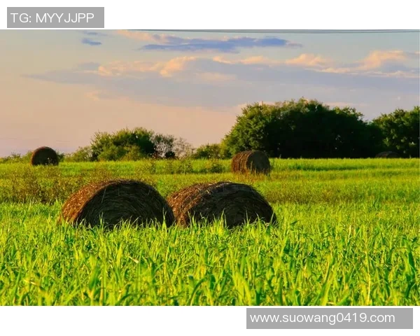 姚明携女儿亮相纽约时装周，尽显时尚魅力